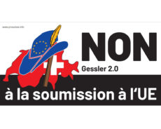 Tavola magnetica “No all'UE” per veicoli